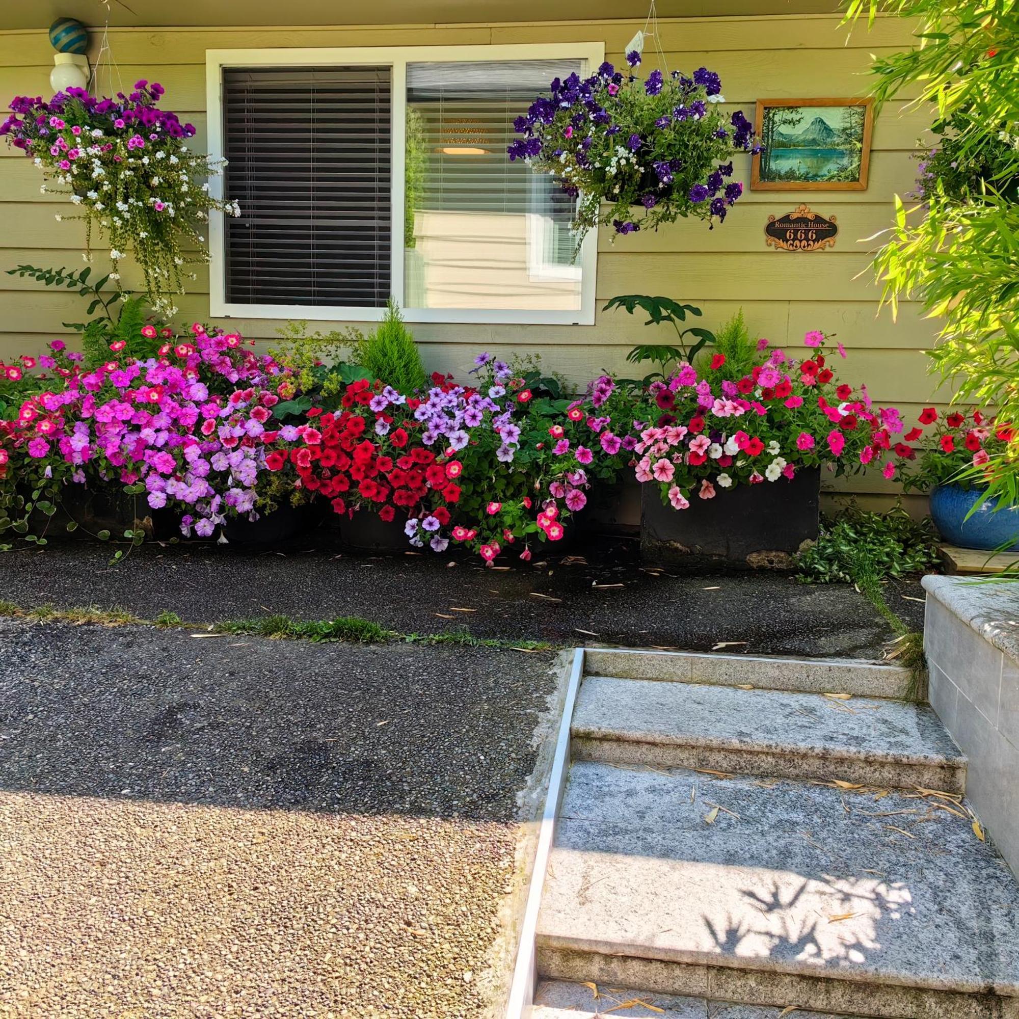 Romantic Homestay Coquitlam Exteriér fotografie