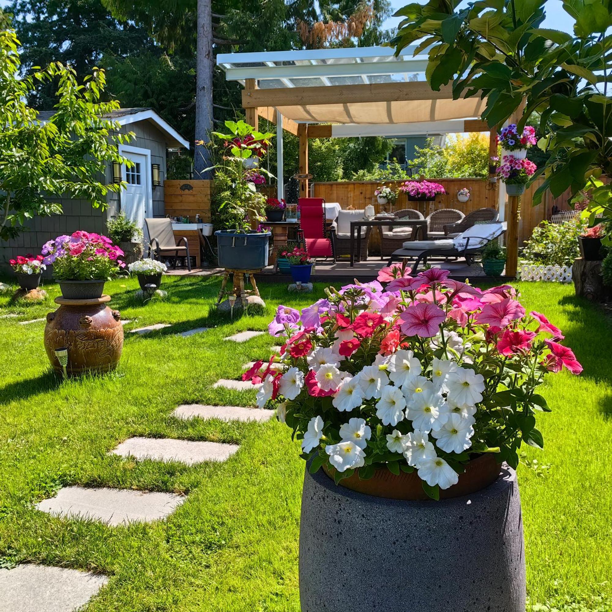 Romantic Homestay Coquitlam Exteriér fotografie